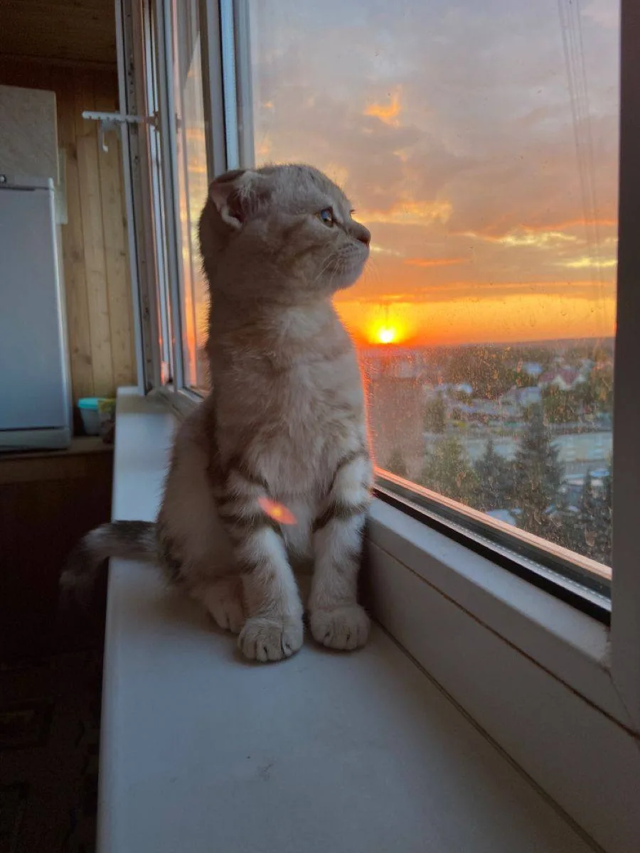 ☀️ Первые выходные октября порадуют теплом.