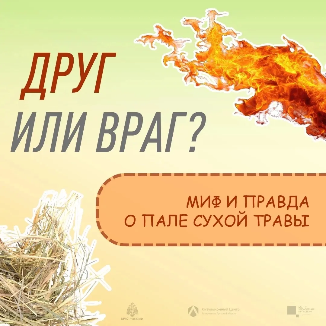 Да само потухнет…

На самом деле это один из самых опасных мифов. Пал сухой травы нередко становится