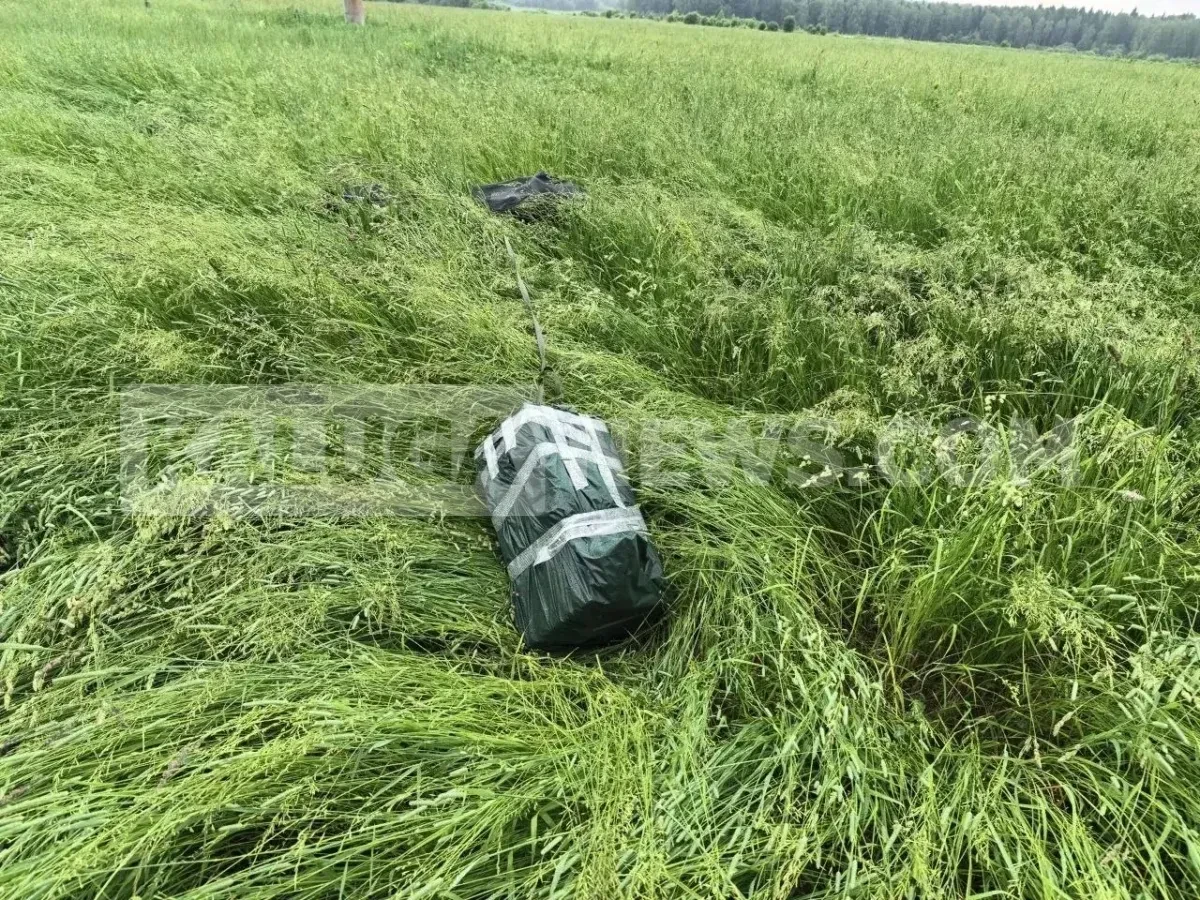 На днях недалеко от Лаврово-Песочни видели предмет, похожий на воздушный шар, но неболь...
