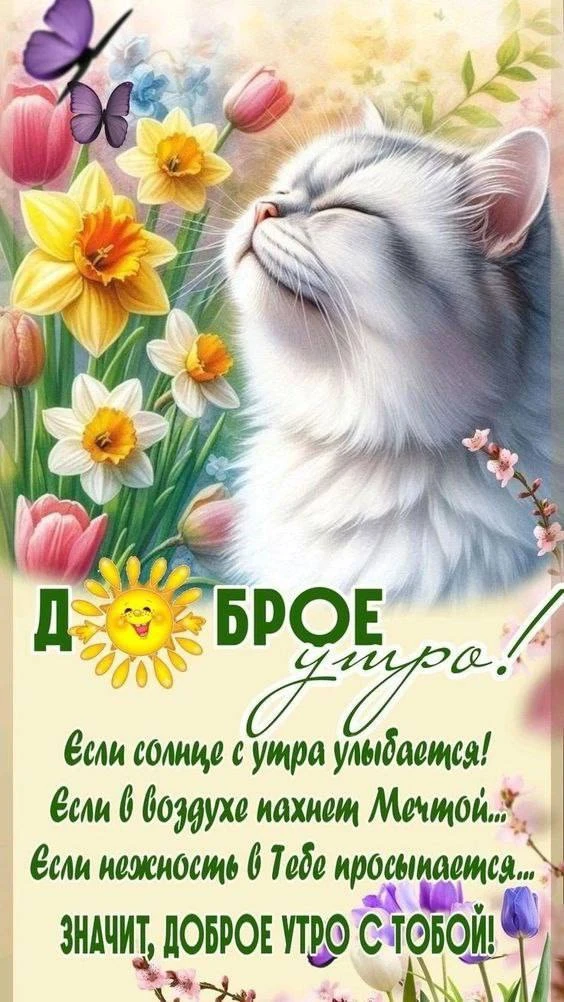 Доброе утро ☀️