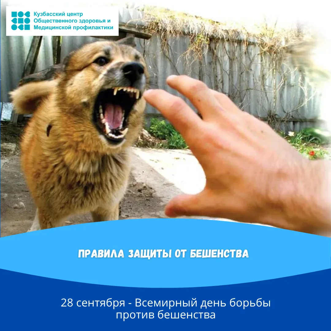 📍Бешенство - инфекционное заболевание, которое при несвоевременно начатом лечении може...