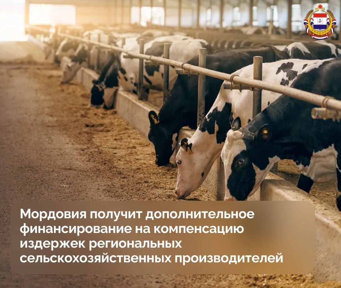 🌾 Мордовия получит дополнительную поддержку на развитие сельского хозяйства