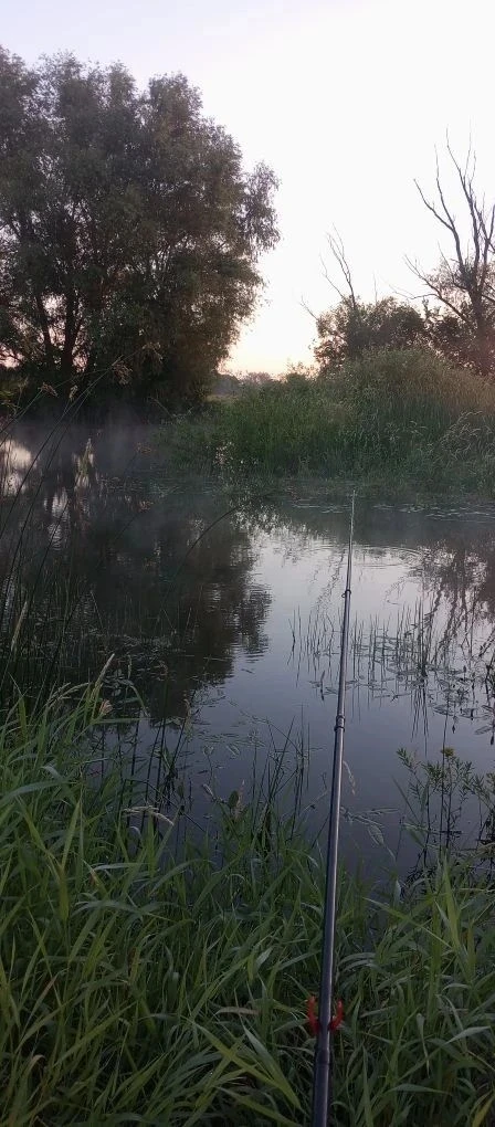 📌Участие в фотоконкурсе "Волго-Донской край сквозь объектив"

📸 Косымскова Вероника, обучающаяся 2
