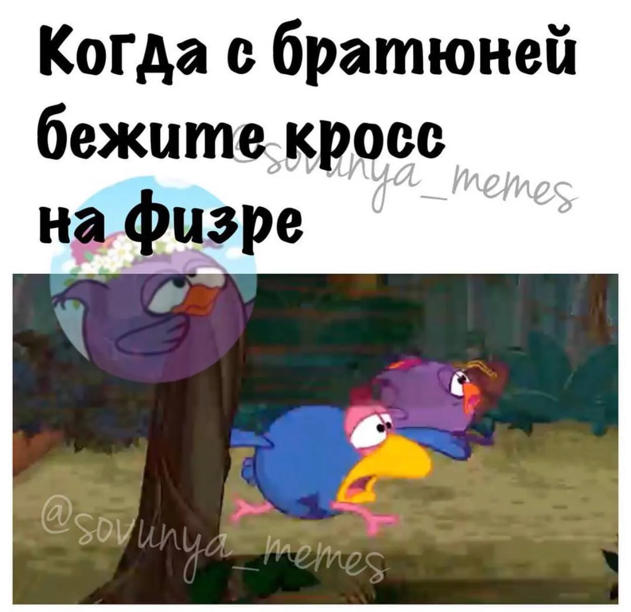 Хоть бы добежать