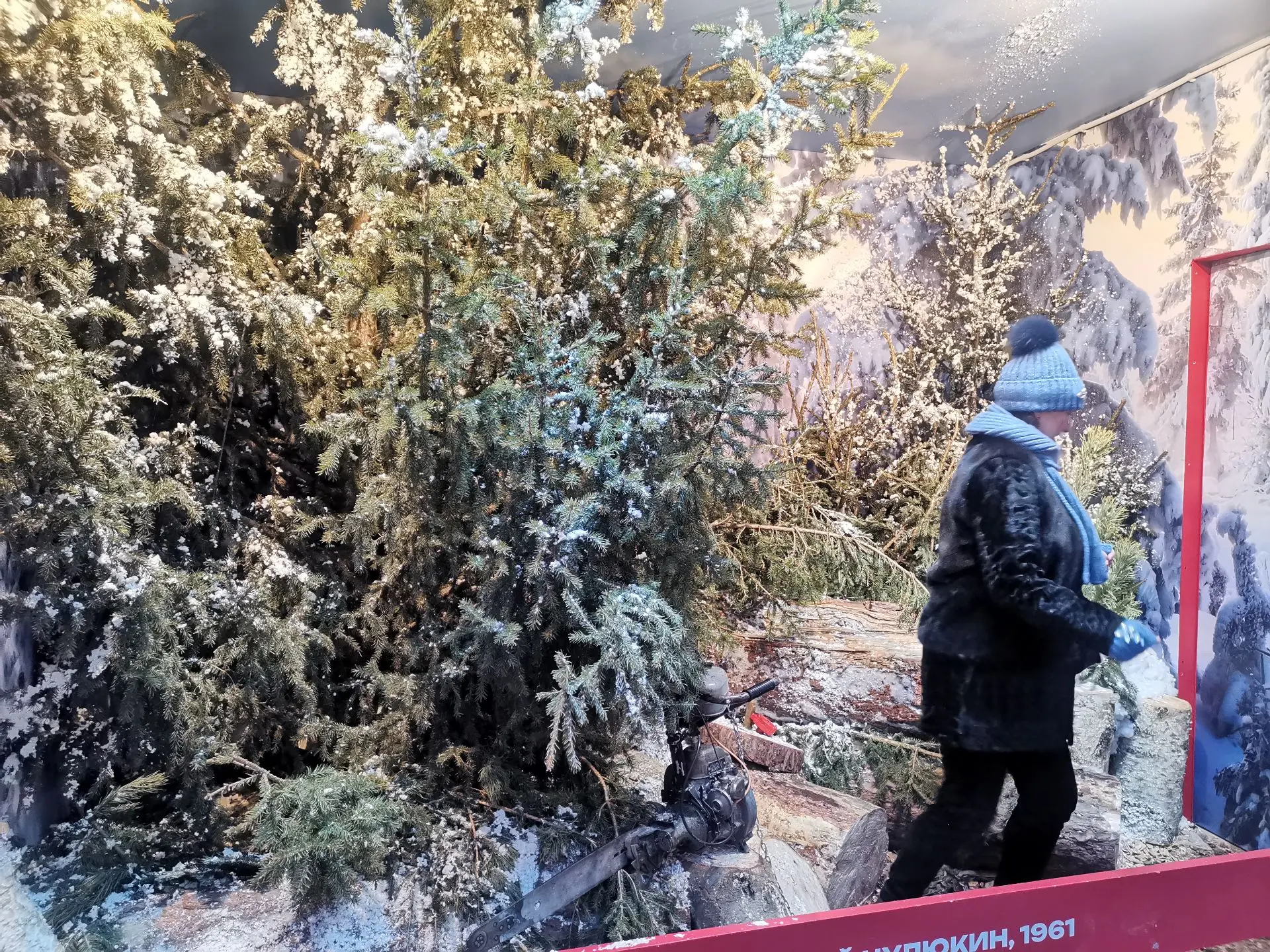 В декабре 2024 года я был по служебным делам в Москве. На Манежной площади к Новому год...