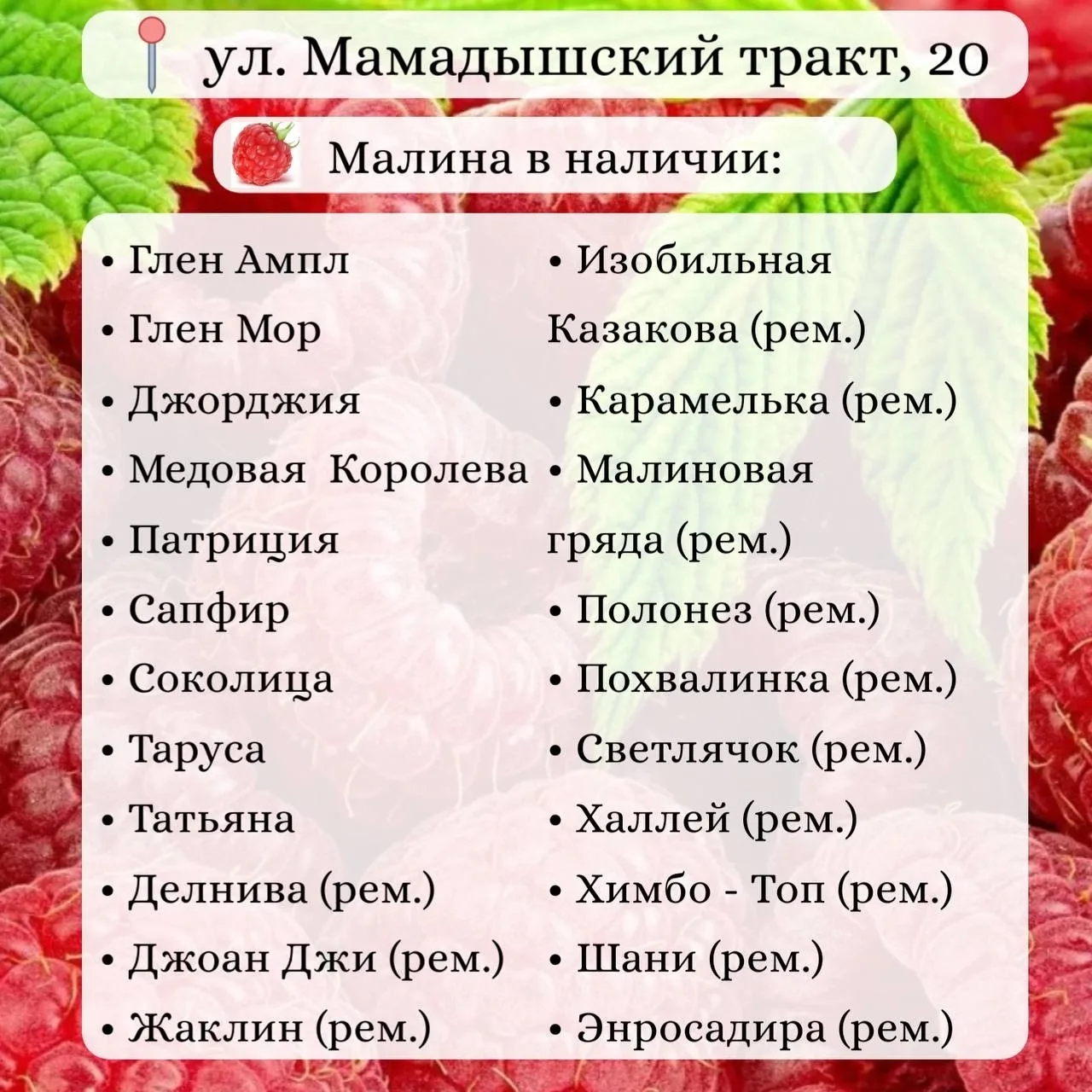 Малина в наличии🌱 Крупноплодные и ремонтантные сорта. Закрытая корневая система (в гор...