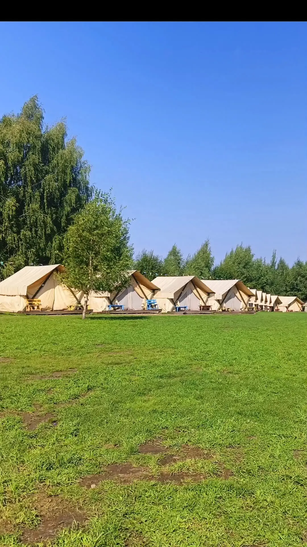 Делимся моментами слета школьных лесничеств Нижегородской области
