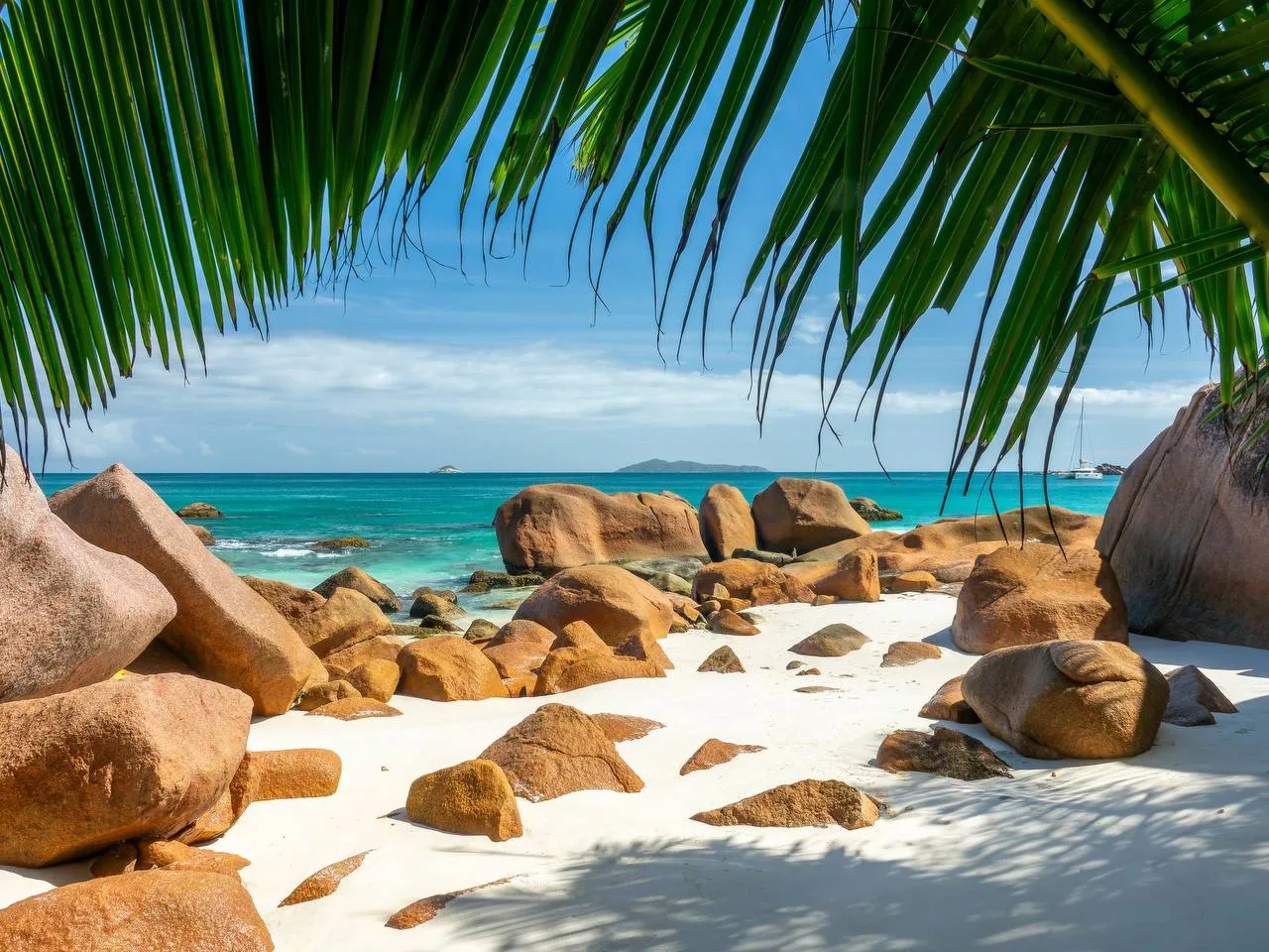 Сейшелы становятся еще ближе 🌴