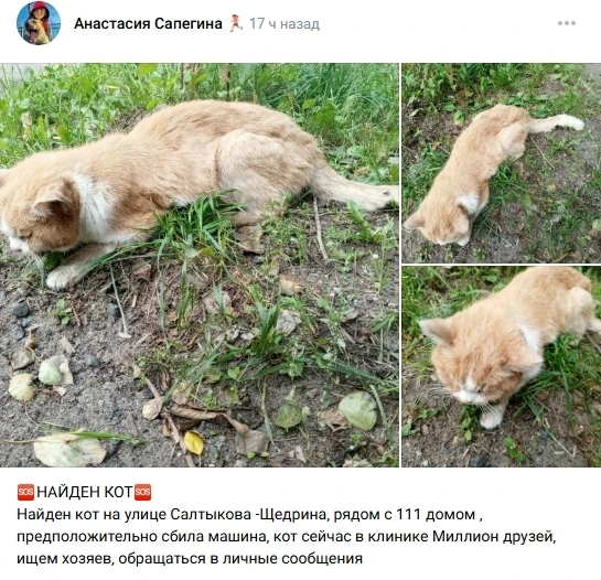 Пост добра. Распространите, пожалуйста.