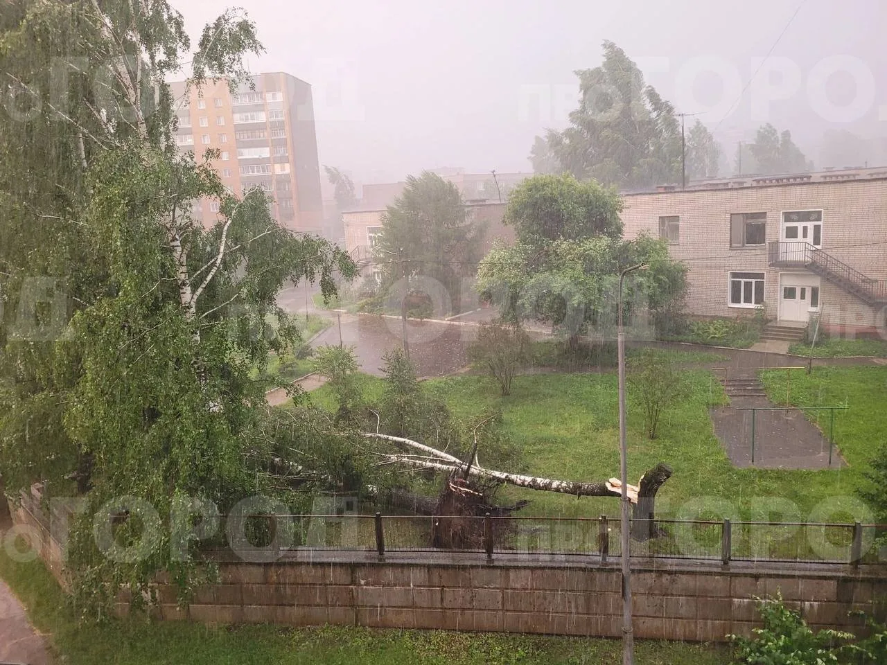 В Кирово-Чепецке во время грозы пострадали деревья на территории детского сада №1

Непогода прошлась