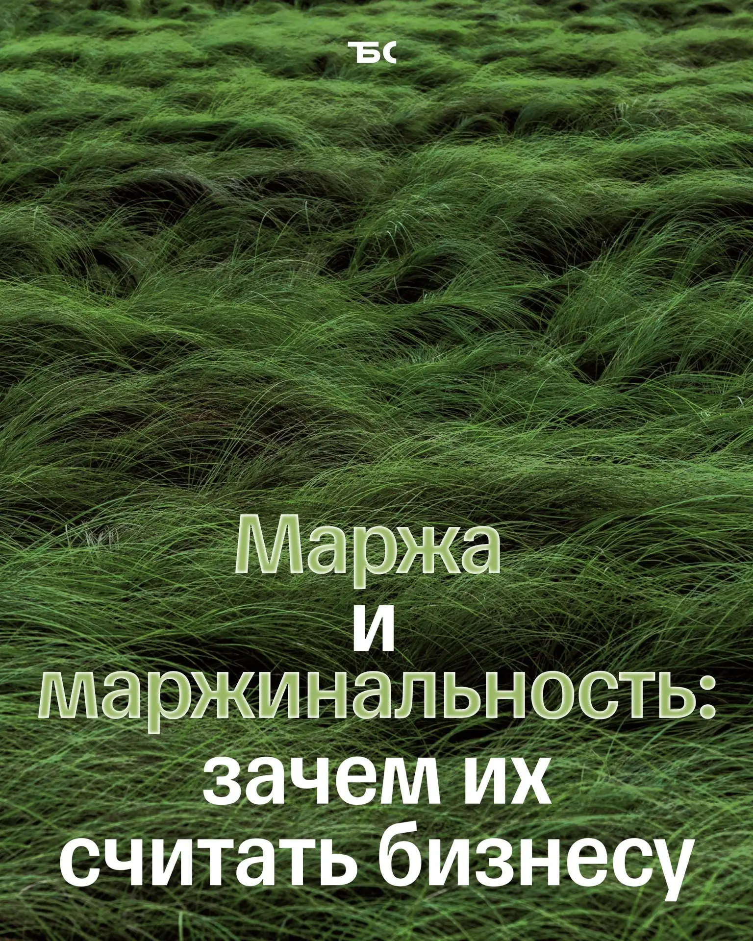 ✅ Как вести управленческий учет на маркетплейсах
