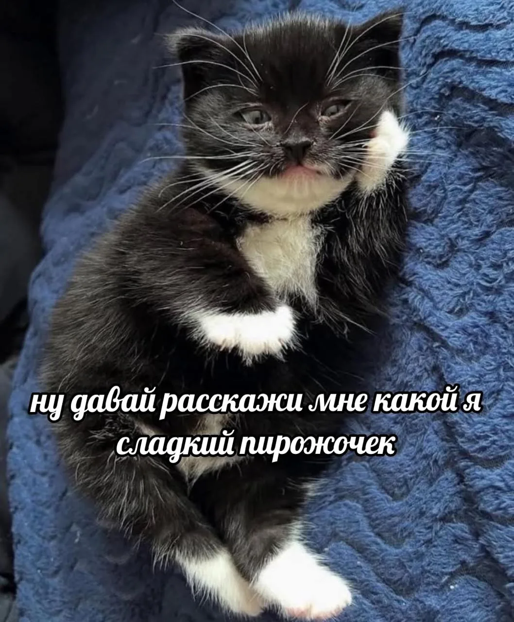 Мемы каждый день • Подписаться