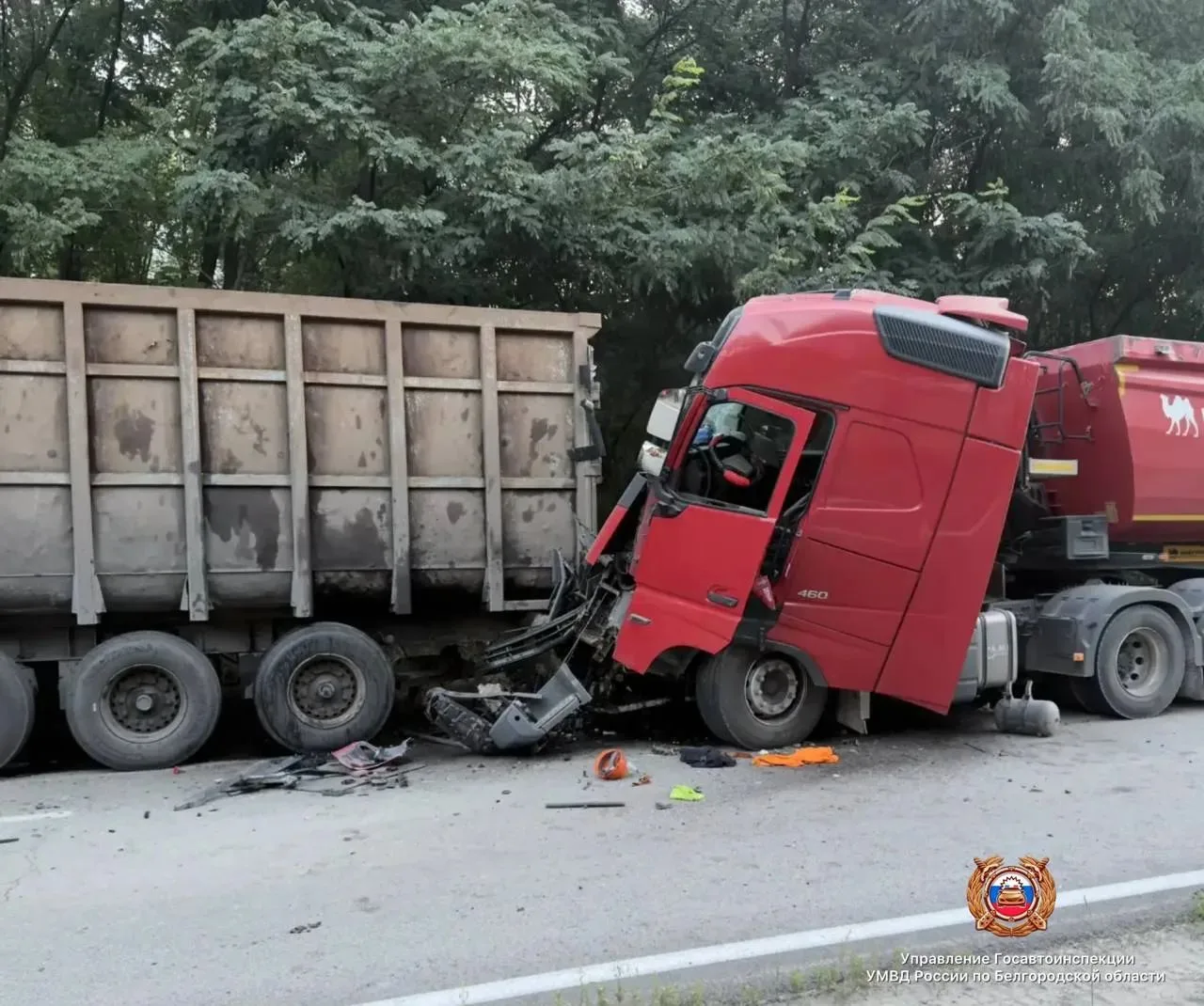 🚔 С начала года на дорогах региона в ДТП погибли 106 белгородцев, ещё 1 019 пострадали