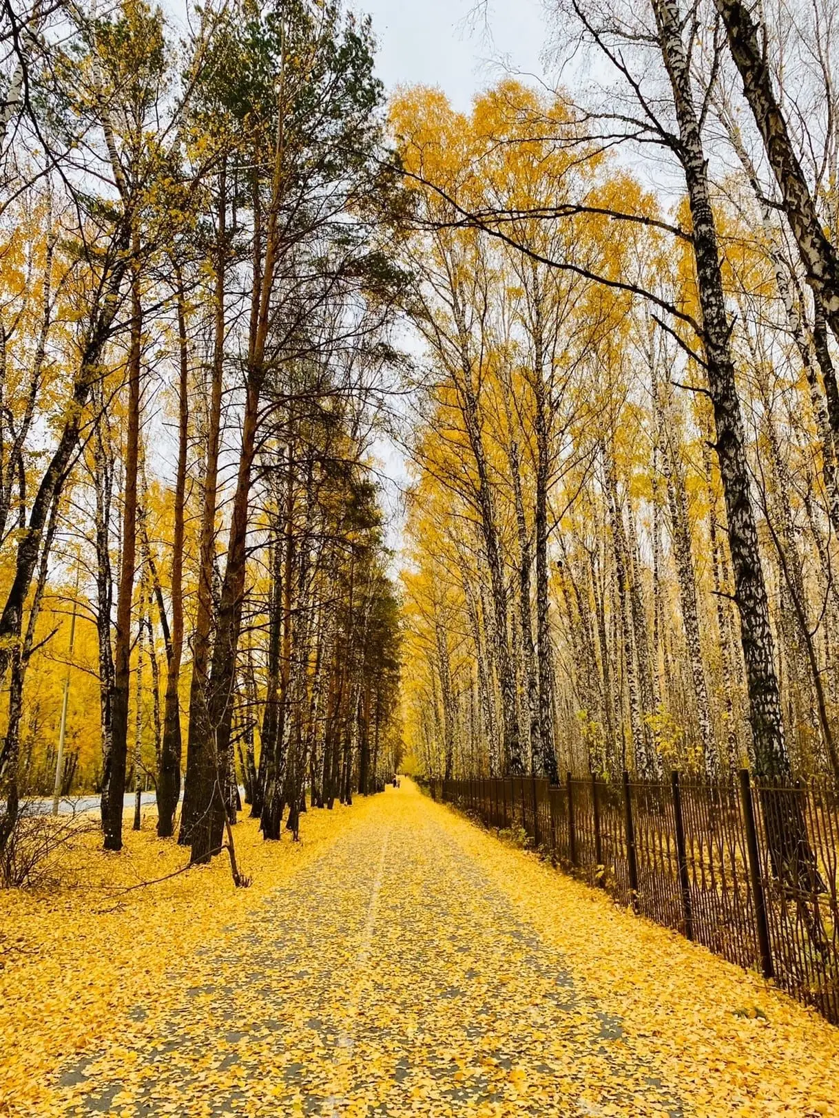Красота в Гагаринском парке.