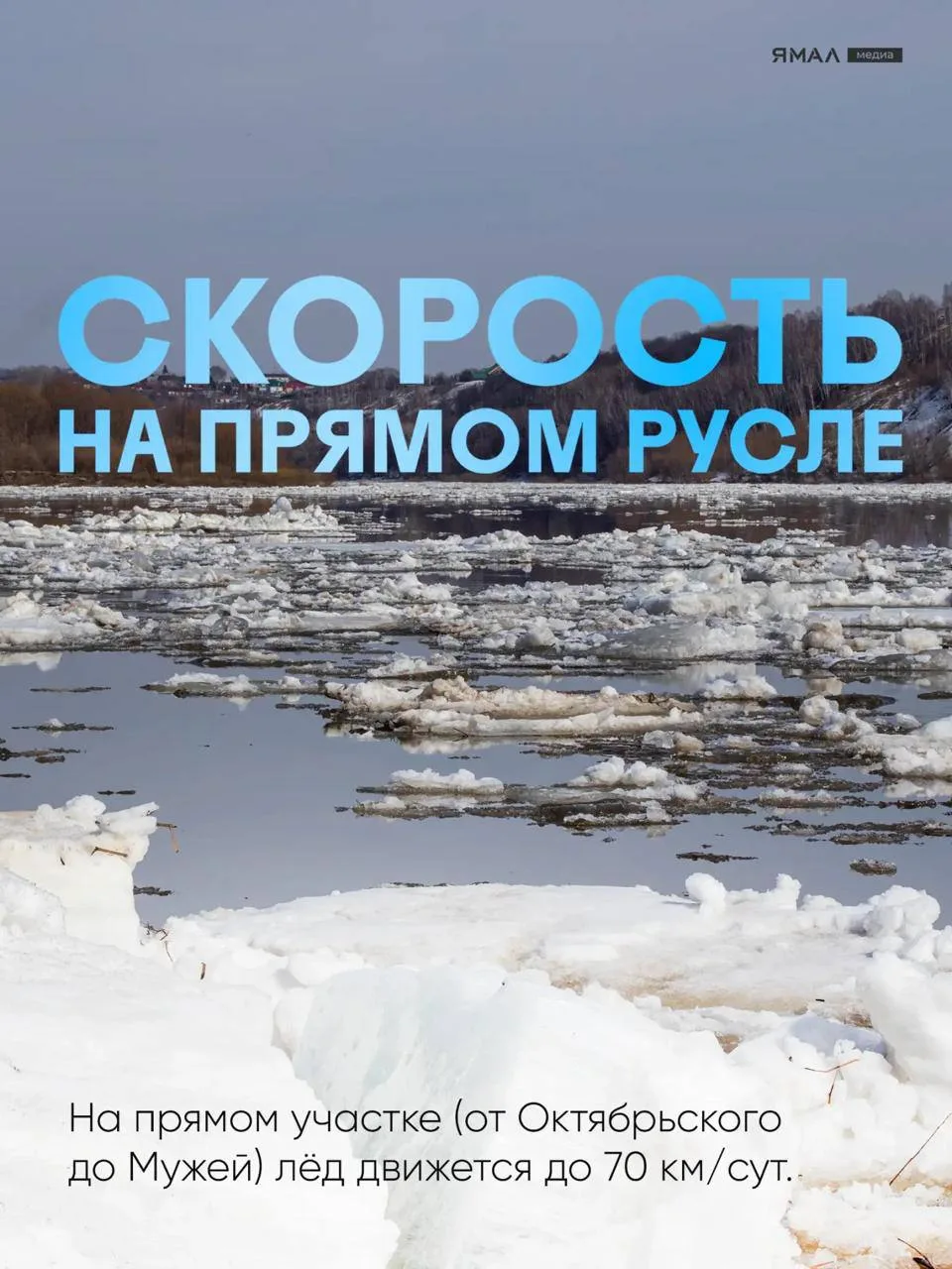🌊 Явление, которое стоит увидеть хотя бы раз в жизни  У него есть голова и хвост, он движется, мы ег