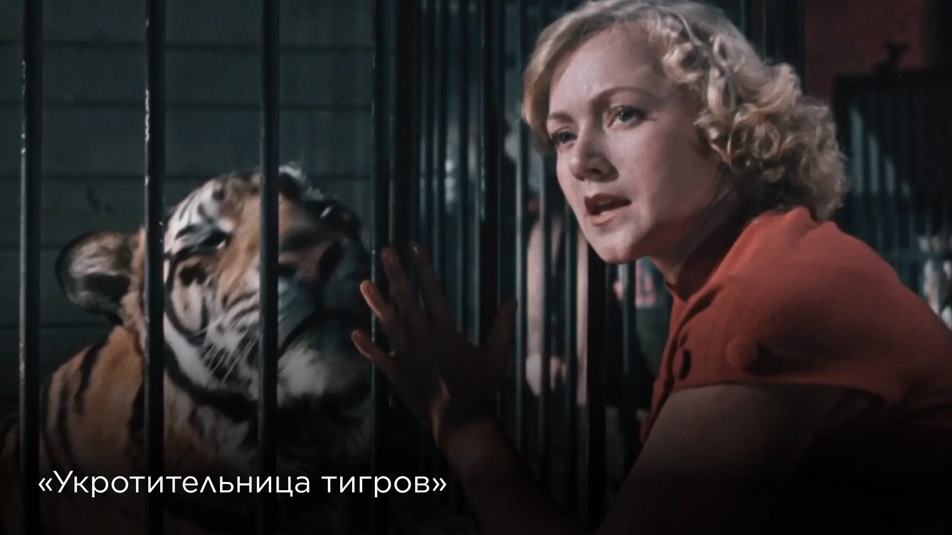 Как домашний тигр стал звездой советского кино 🐯

К Международному дню тигра вспоминаем удивительну