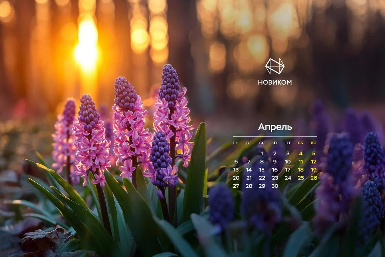 ☀️ Апрель — дни длиннее, а планов больше!  Это месяц, когда особенно хочется творить и успевать чуть
