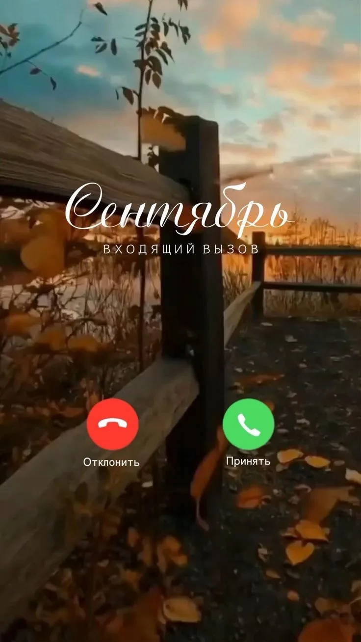 #осень