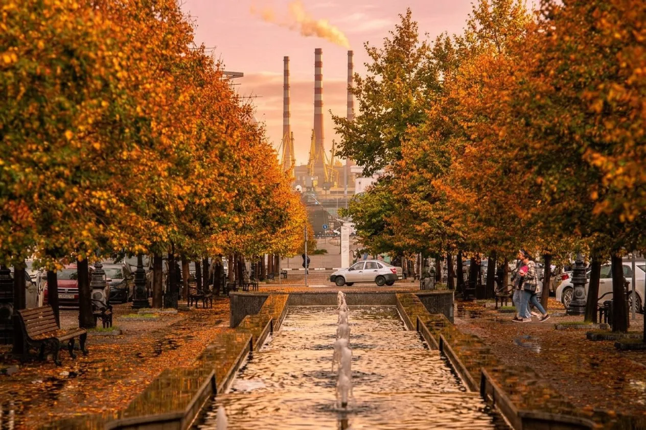 Прекрасного осеннего утра! 🍂☀️