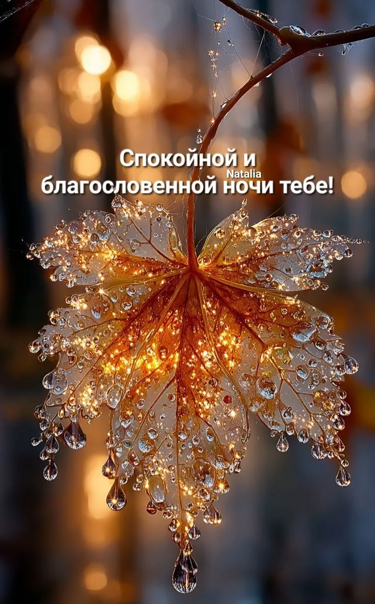 Понравилась открытка? Оставьте реакции ❤️