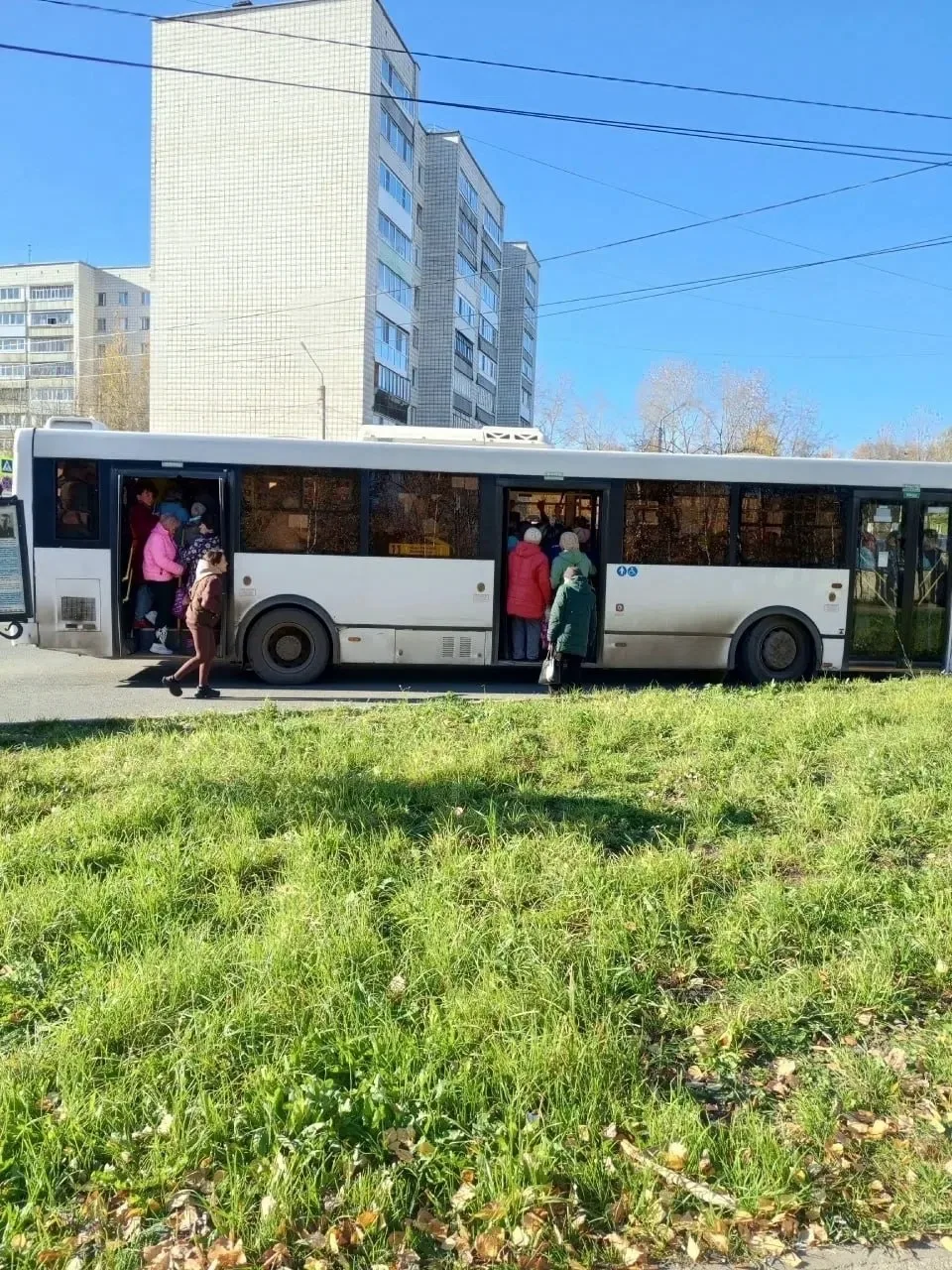 Как сельди в бочке. В эжвинских дачных автобусах №11 ездить становится не только невыно...