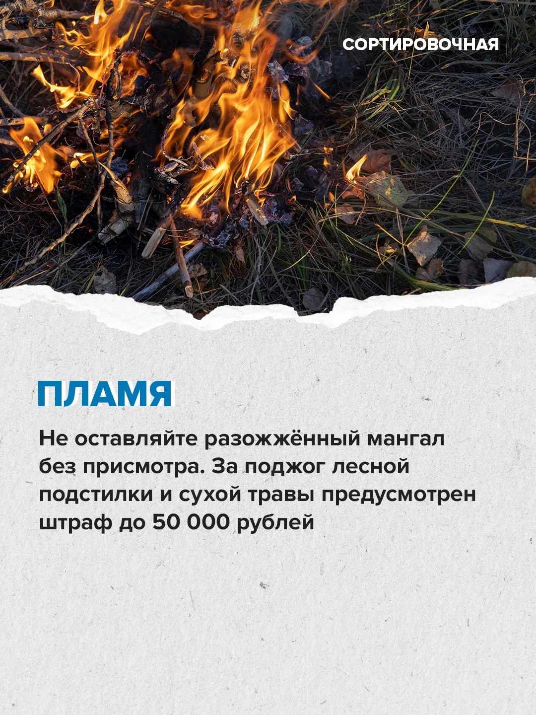 🍢 В пяти парках Москвы уже можно забронировать места для пикника  ⬆️ Как провести время на природных