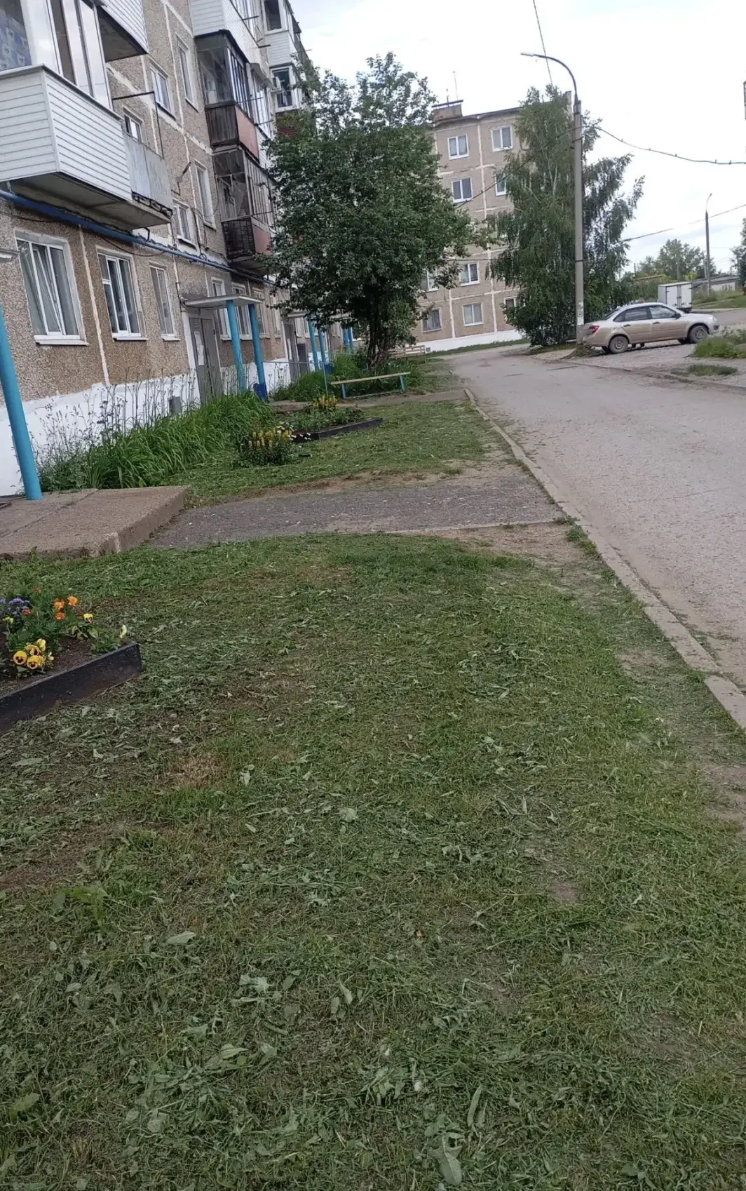 🏘️  д. 38