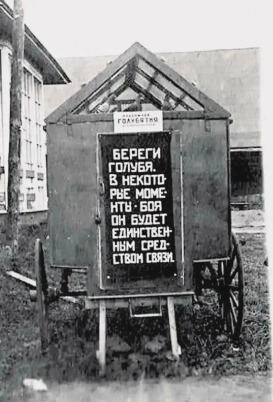 Будет не лишним и сейчас 😁