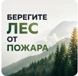 Лесные пожары чаще всего случаются по вине человека. Чтобы защитить природу, повторите ...
