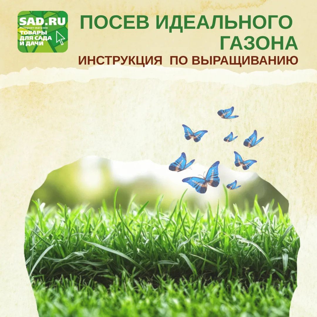 ☘Хотите вырастить идеальный газон? Наша инструкция в картинках вам в помощь. 🧑‍🌾Кстат...