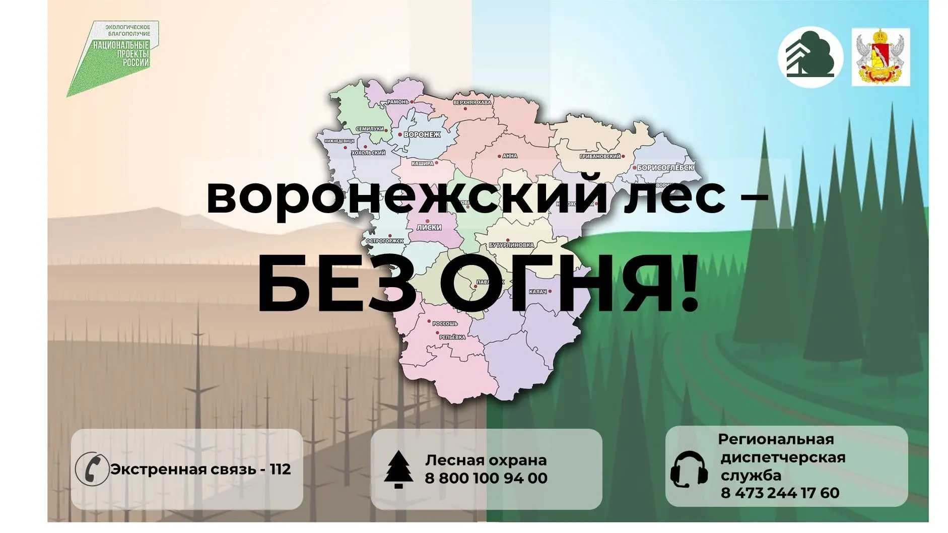 Лето и начало осени — это не только время ярких путешествий, но и период максимального ...