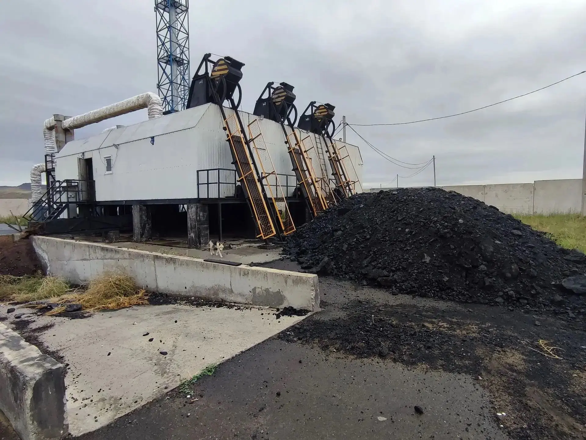 👷‍♂️ Новый руководитель МБОУ СОШ № 20 им. Героев Отечества г. Кызыла Кужугет А. Ч. при...