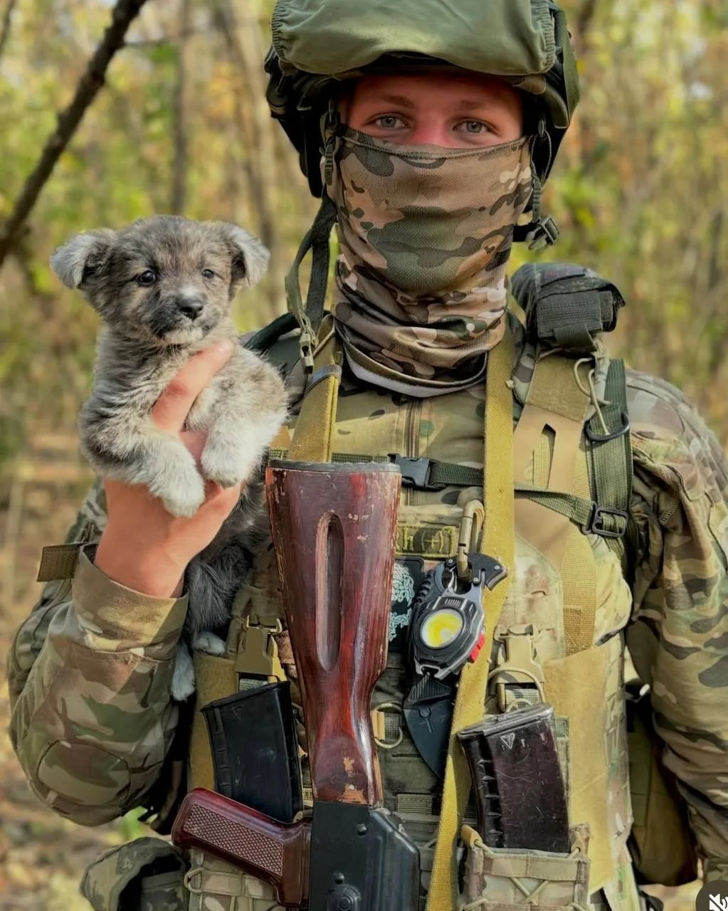 Боец «Бронсон» и его хвостатик желают вам мирного неба 🙏🏻   Подпишись на канал