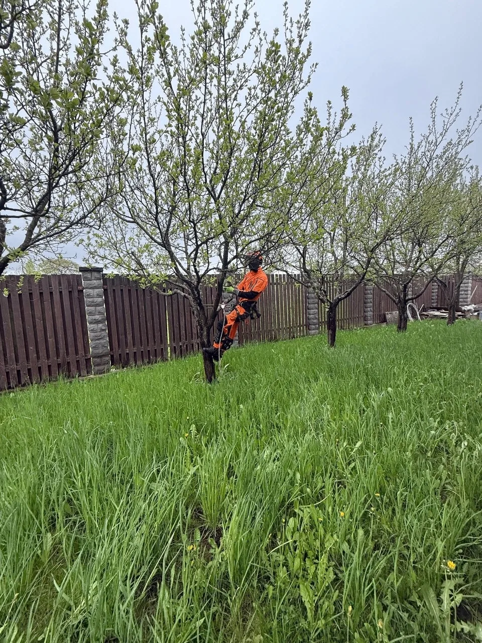 Антропшино.