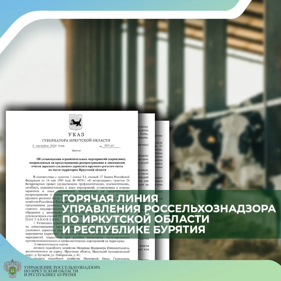 В связи с изданием Указа Губернатора Иркутской области от 3 сентября 2026 года № 384-уг...