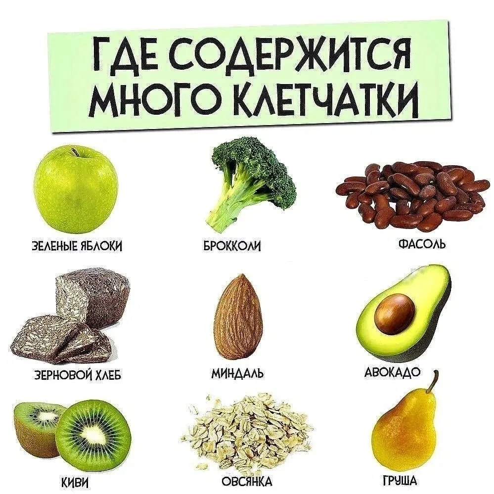 Разбираемся с клетчаткой и рационом! 🍏🌾