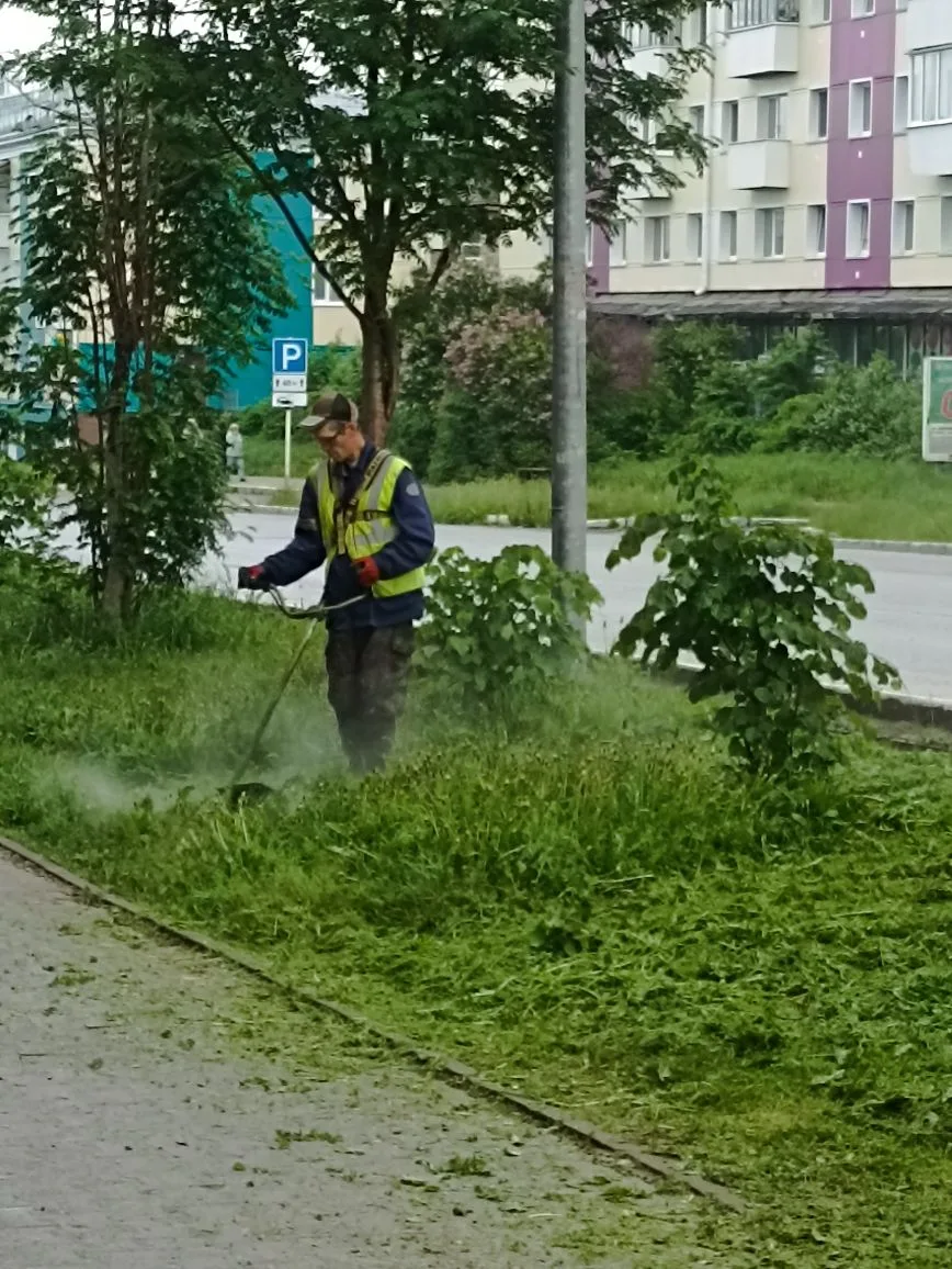 МБУ Чистый город продолжает скашивание травы вдоль основных улиц в муниципальном округе...