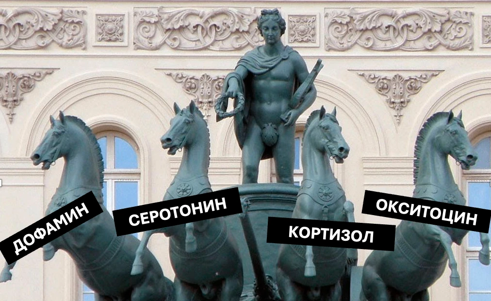 🧠НЕЙРО-БАР | КВАДРИГА ВАШЕГО НАСТРОЕНИЯ