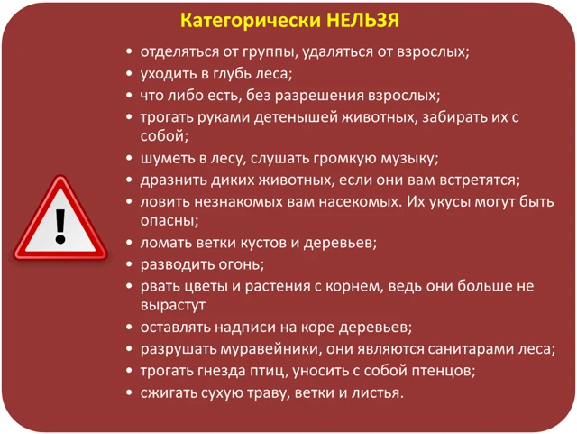 Если школьники собрались в поход……