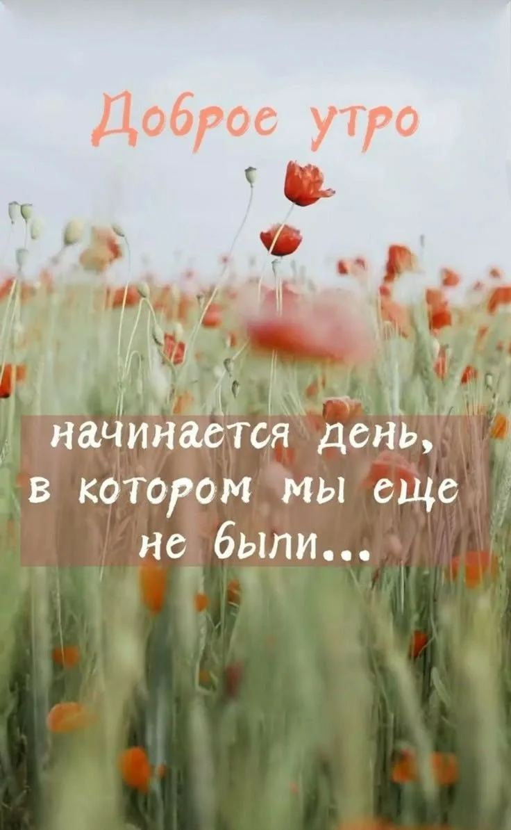 Доброе утро, дорогие друзья!
В этих словах — вся магия утра: впереди — чистый лист, неизведанный мар