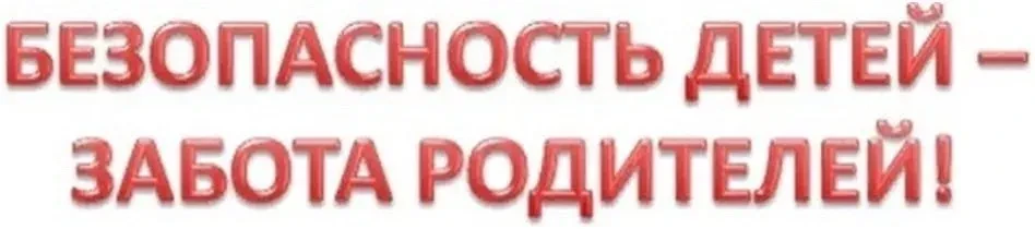 Инспекторы ПДН владимирской полиции напоминают о соблюдении правил детской безопасности