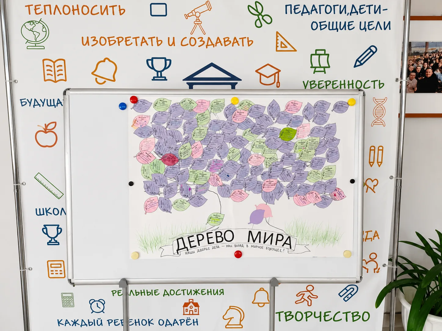 «Дерево мира» выросло 💚