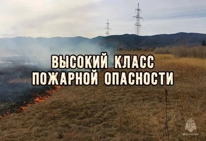 03.09.2026 в лесном фонде Республики Башкортостан прогнозируются