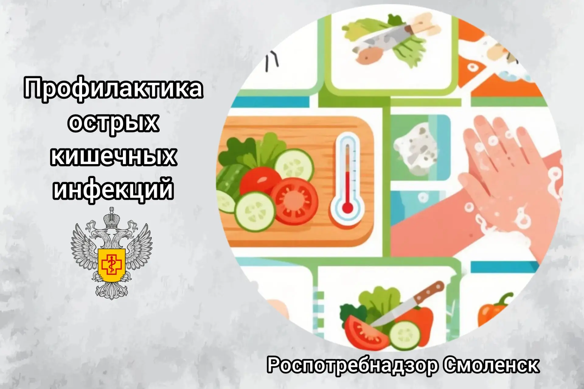 🦠 Острые кишечные инфекции: лето в разгаре. 

Управление Роспотребнадзора по Смоленской области инф