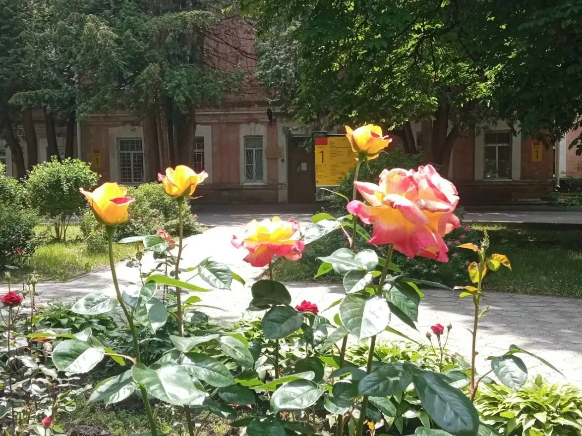 Когда слова благодарности становятся лучшей наградой! 👏

👏 Пациентка Наталья Поцелова искренне поб