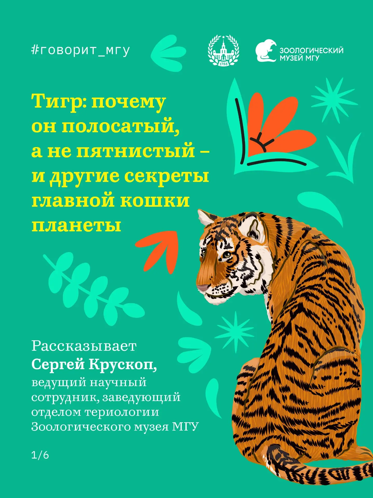 29 июля – Международный день тигра
#говорит_мгу

Самая узнаваемая полосатая кошка планеты имеет не т