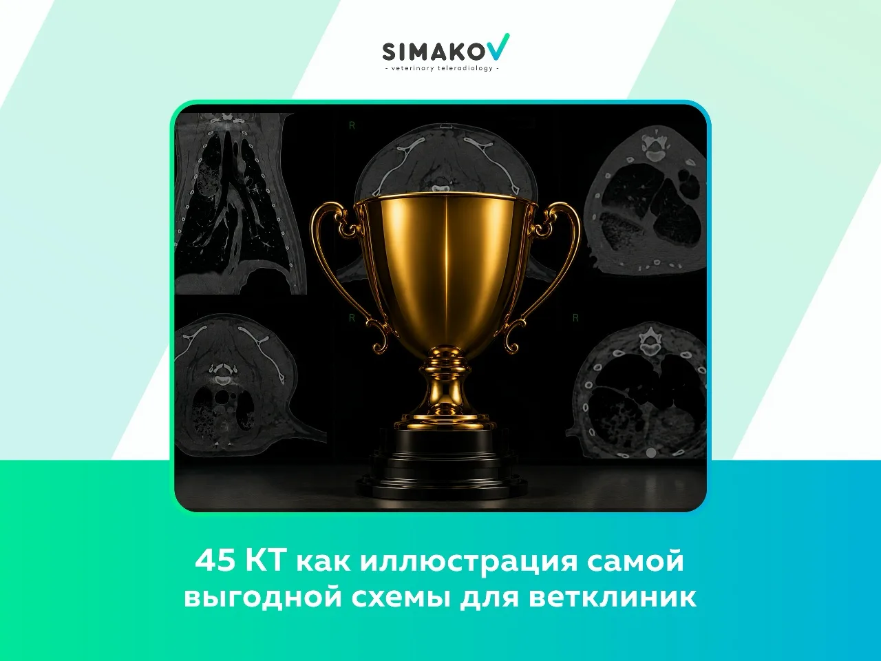 45 КТ как иллюстрация самой выгодной схемы для ветклиник