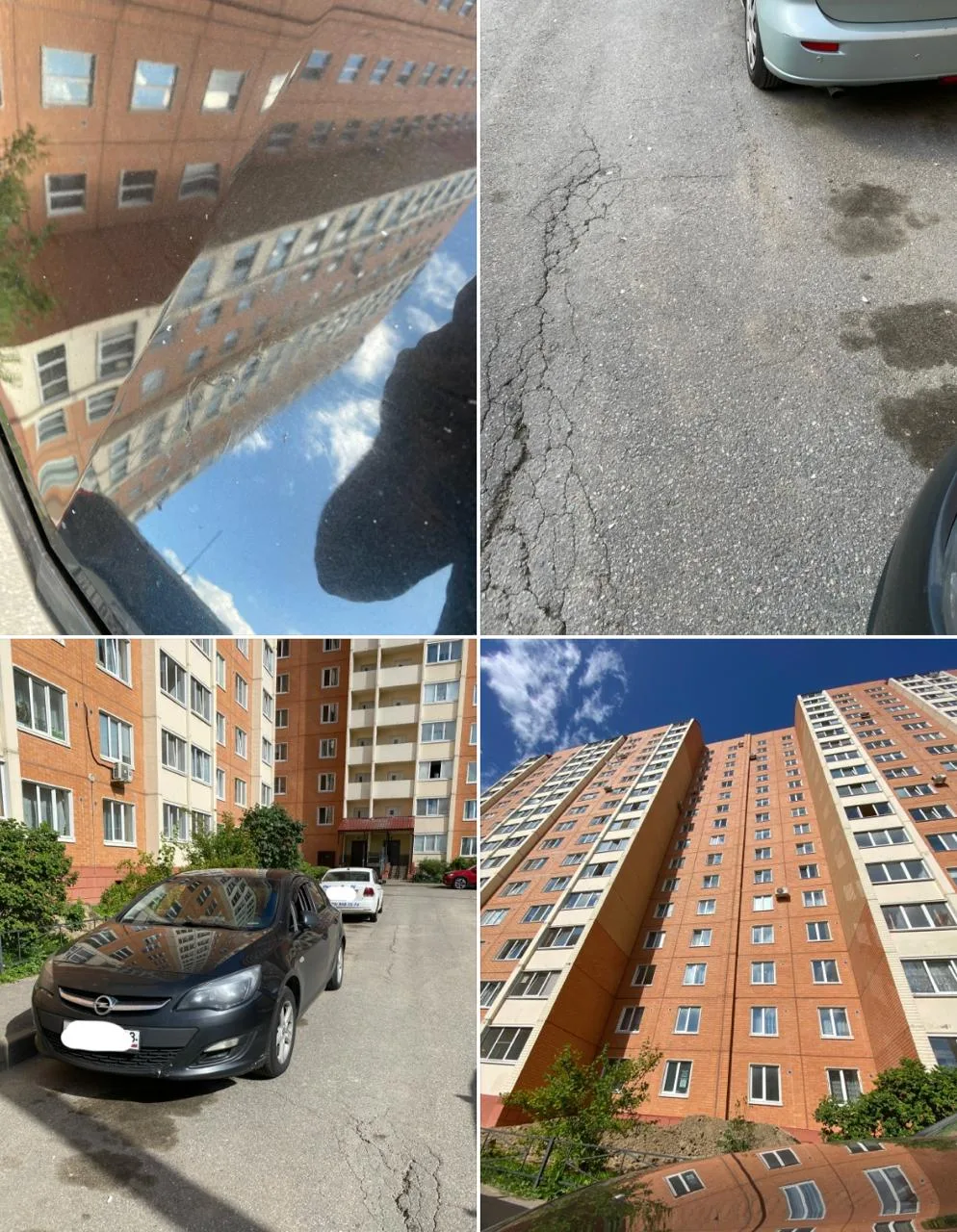 От читателя:
25.07.2026 года приблизительно в 15:25 какие то отсталые люди решили выбросить лук на у