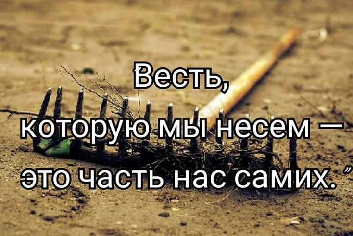 Этимология 📚