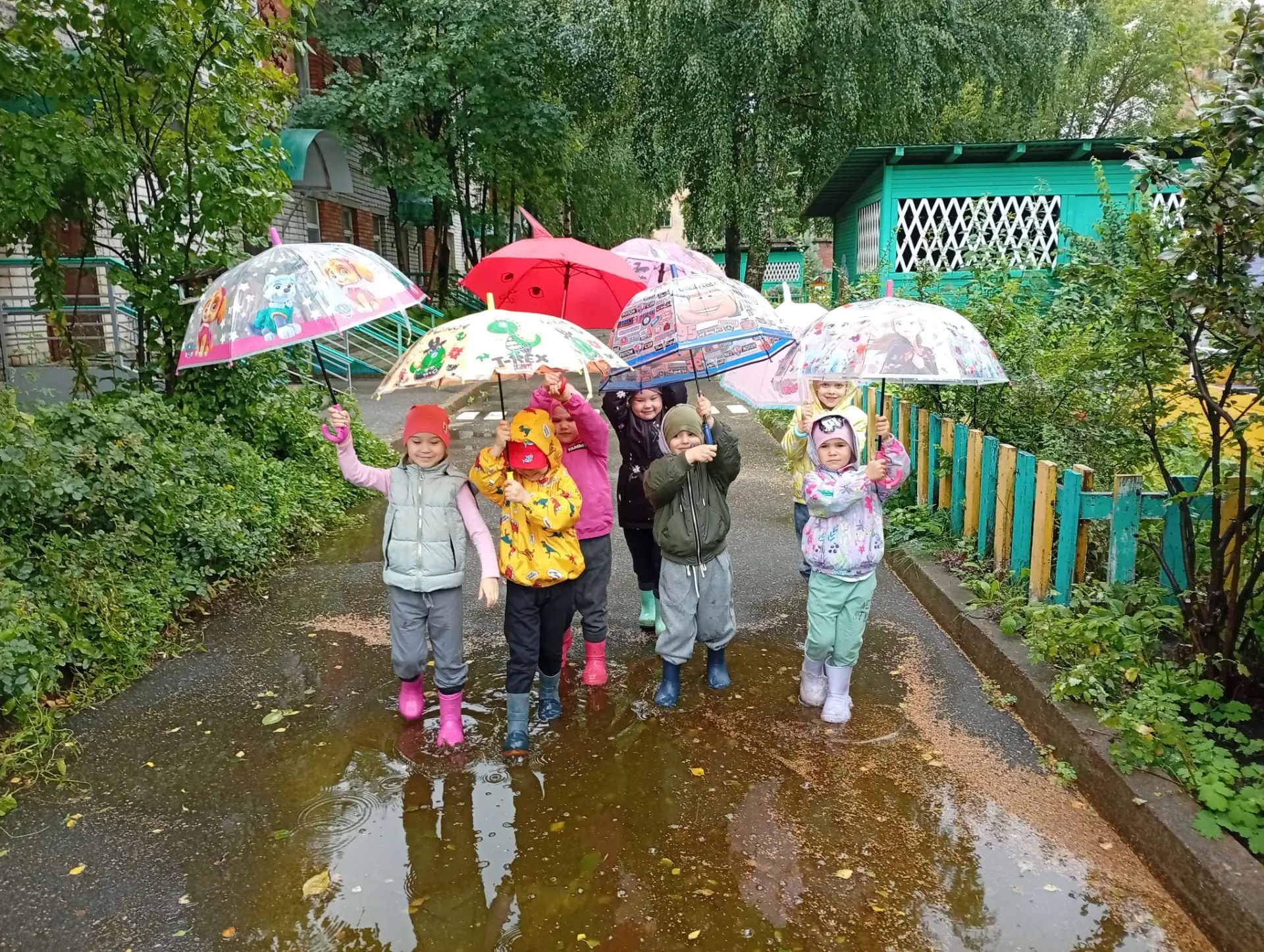 🌧️ Если дождик за окном, значит, мир умыт дождём! ✨